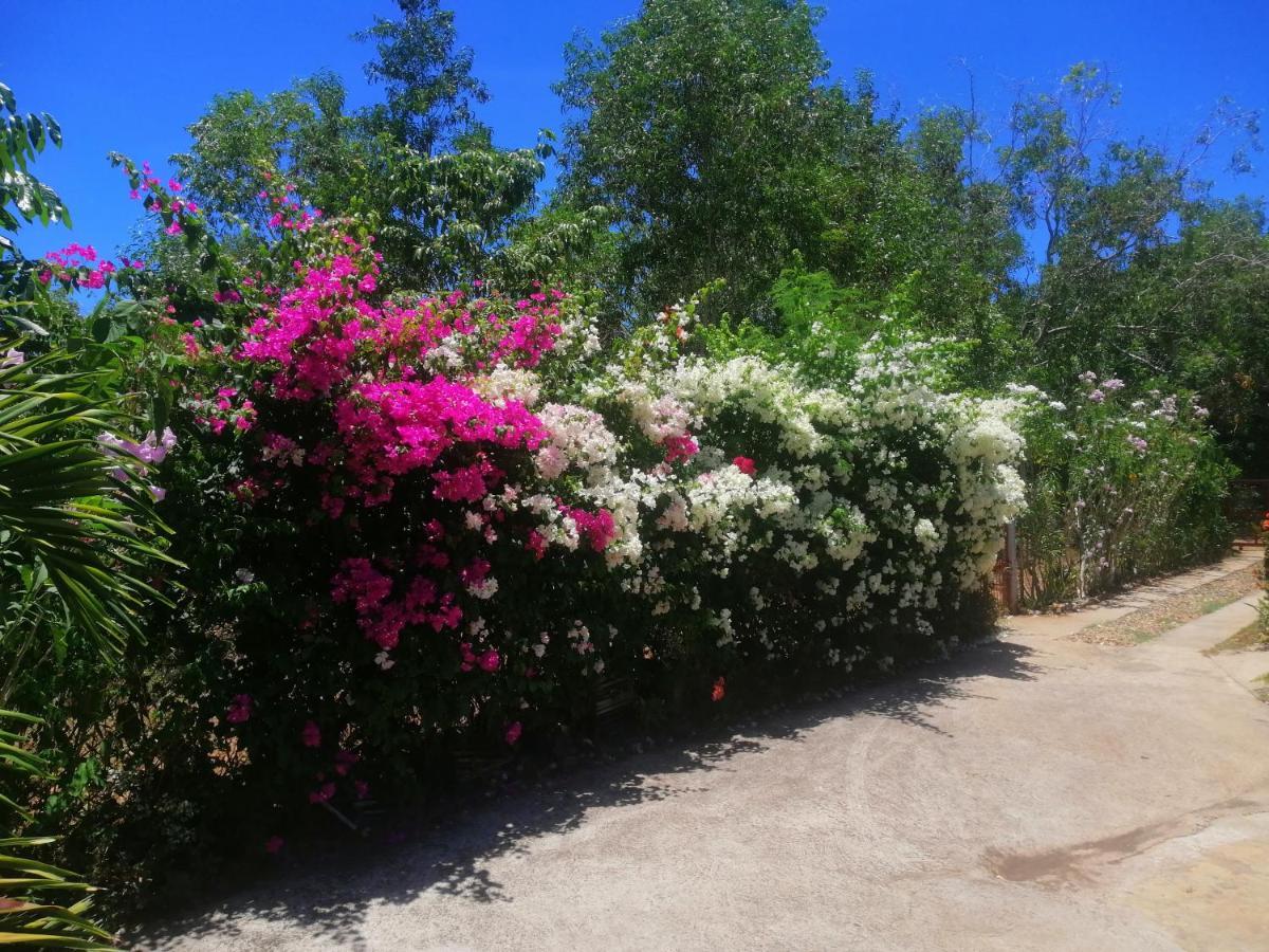 Genevieve Guest House And Tours Siquijor Exterior foto